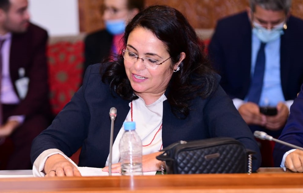 البردعي تدعو لتنويع العرض السياحي وتأهيل الاقتصاد التضامني