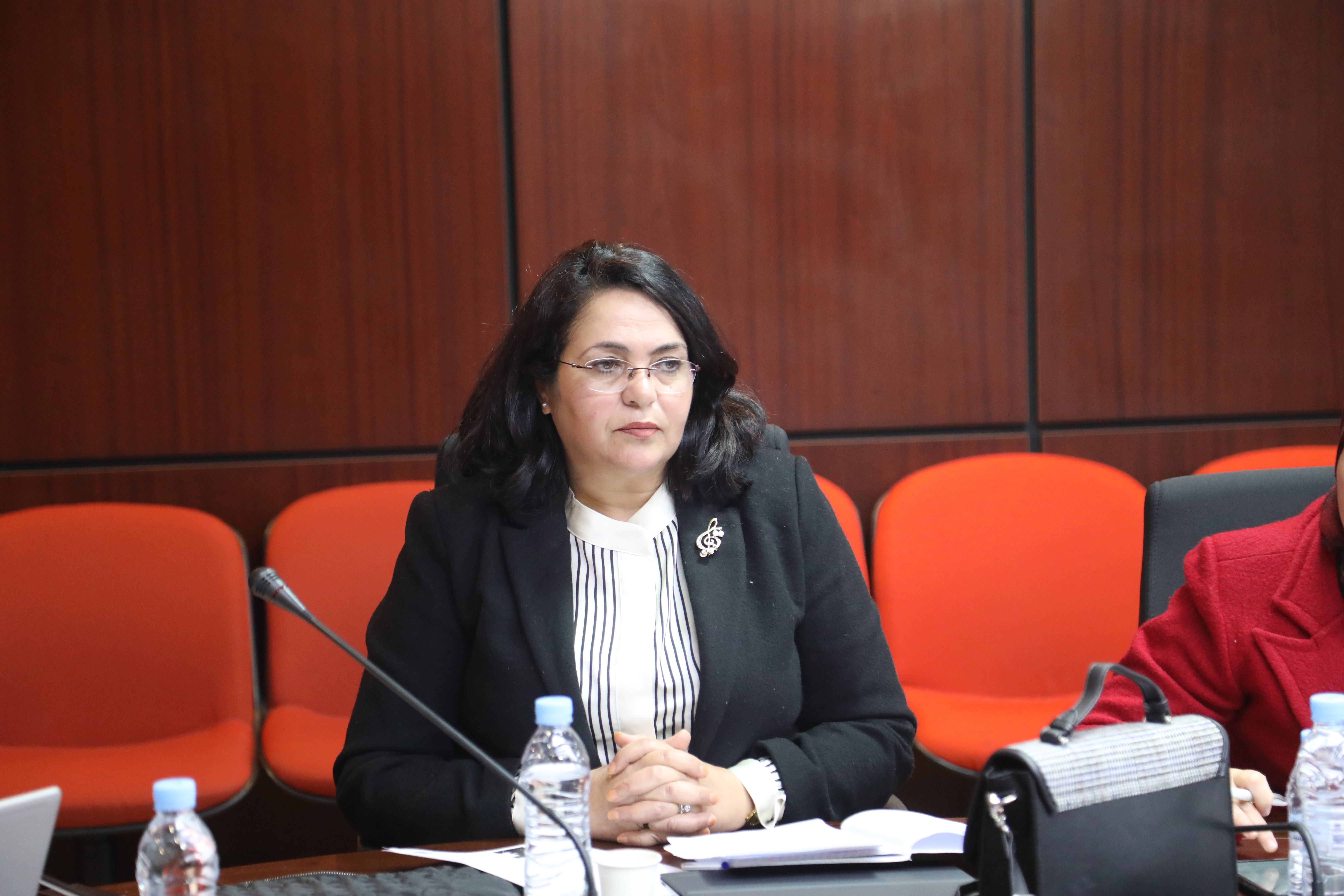 البردعي: برمجة كثرة المواضيع المتباينة في اجتماعات اللجان الدائمة يمس بجديّة النقاش البرلماني 