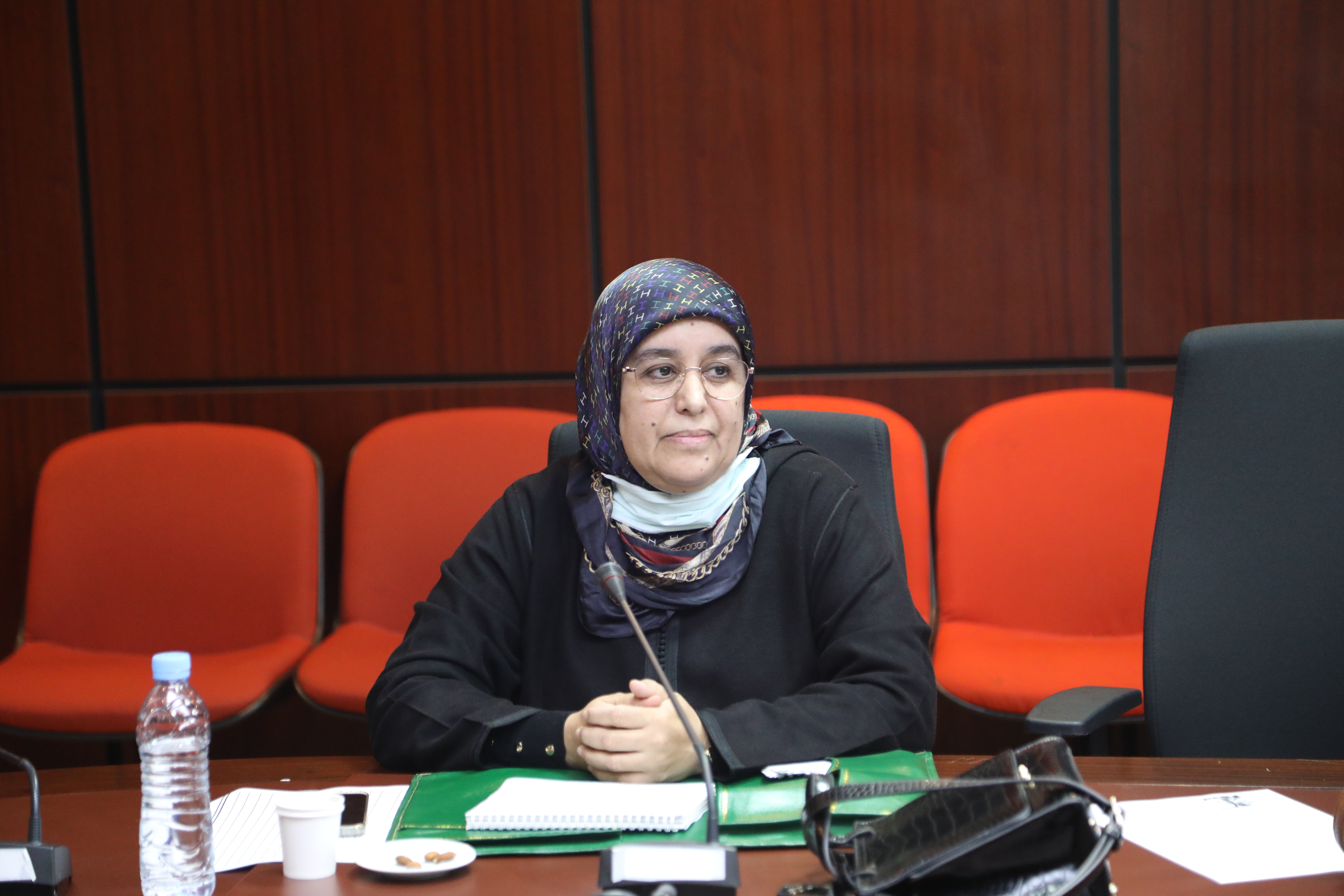 القنصوري تدعو لتوظيف الرقمنة والسينما في التعريف بتاريخ المقاومة وأبطالها 