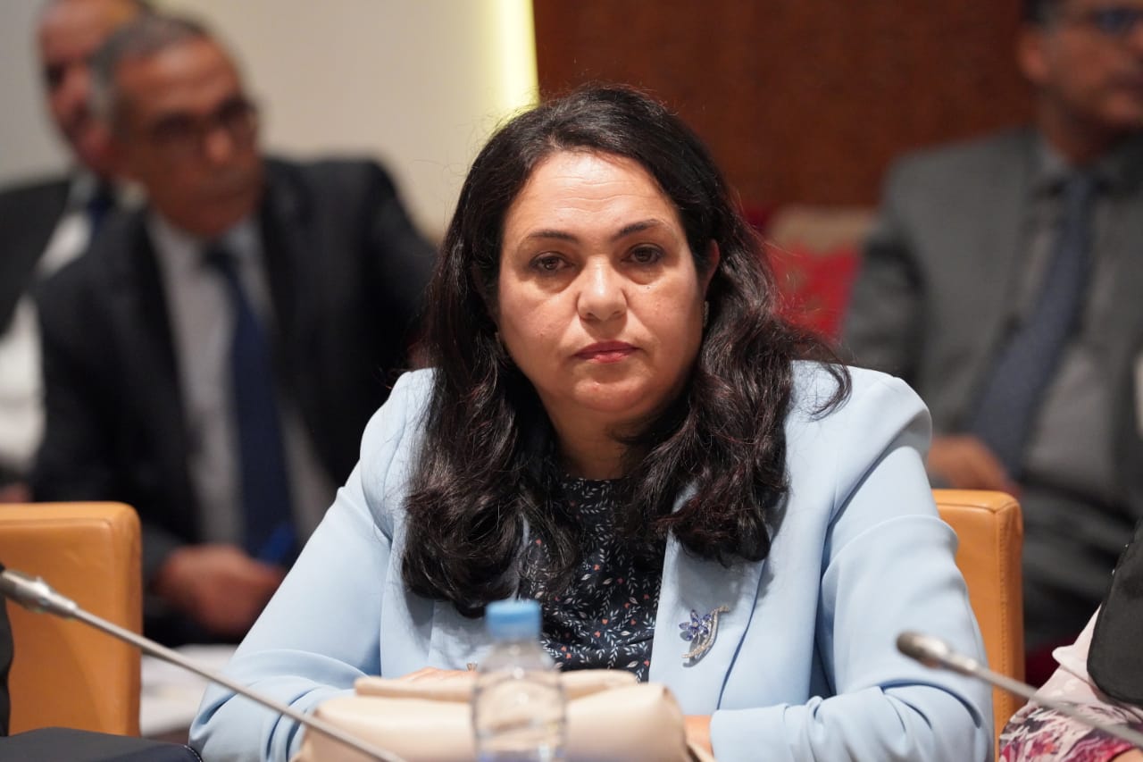 البردعي: "مالية 23" تفتقر للاستشراف و"المغرب الأخضر" لم يحافظ على هوية الفلاح المغربي 