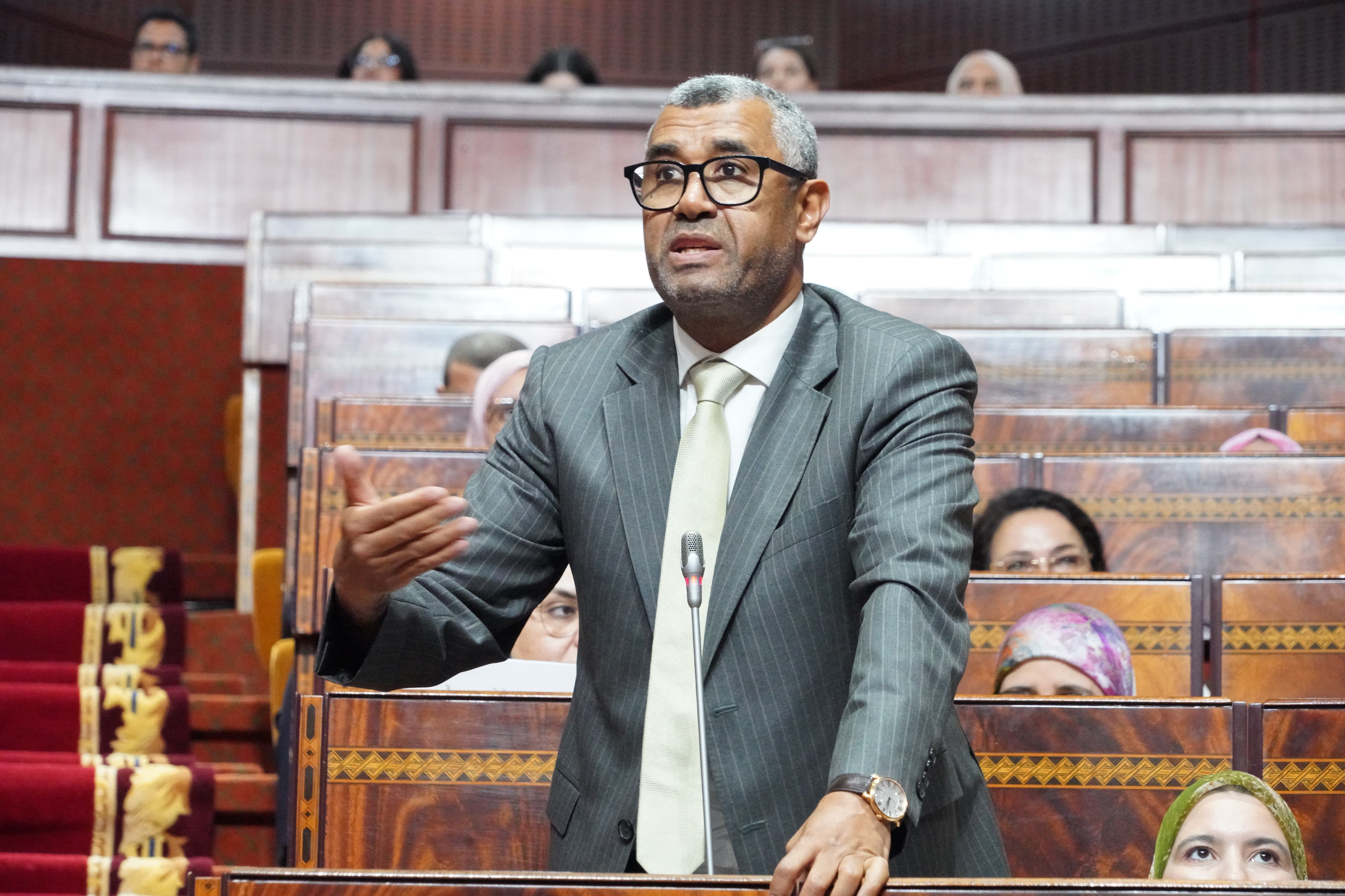 بووانو يُعدّد مظاهر تدليس رئيس الحكومة على النواب والمواطنين خلال الجلسة الشهرية