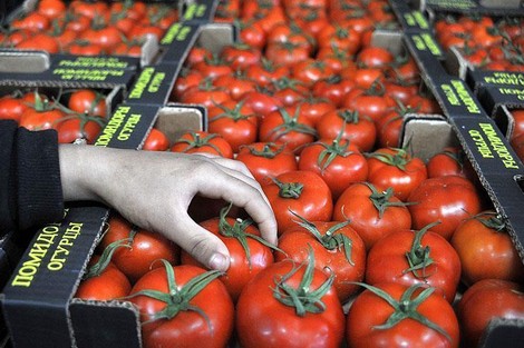 بووانو يسائل الحكومة عن حقيقة شراء الطماطم من السوق الداخلية وإعادة تصديرها للخارج