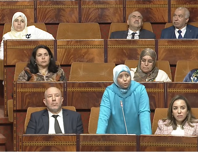 سؤال كتابي للفتحاوي يكشف إقدام شركات دولية بالمغرب على نشر خريطة مبتورة من الصحراء المغربية