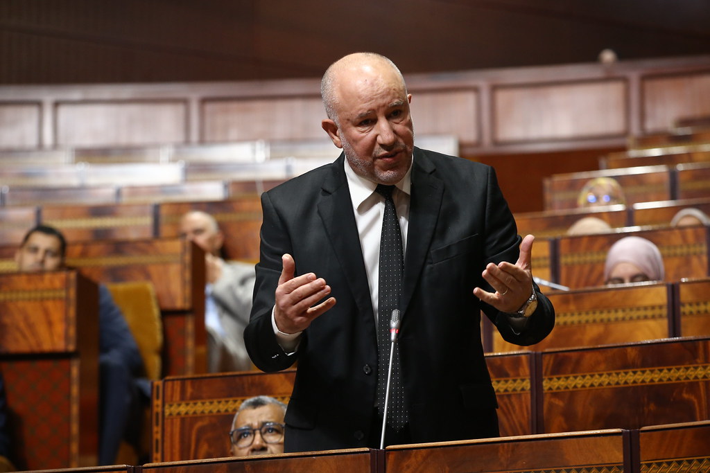 ابراهيمي ينتقد حرمان المناطق القروية من خدمات الهاتف والانترنت