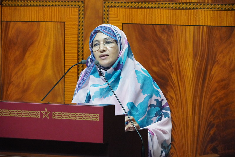 أبلاضي: التنمية بالأقاليم الجنوبية تتطلب محاربة اقتصاد الريع