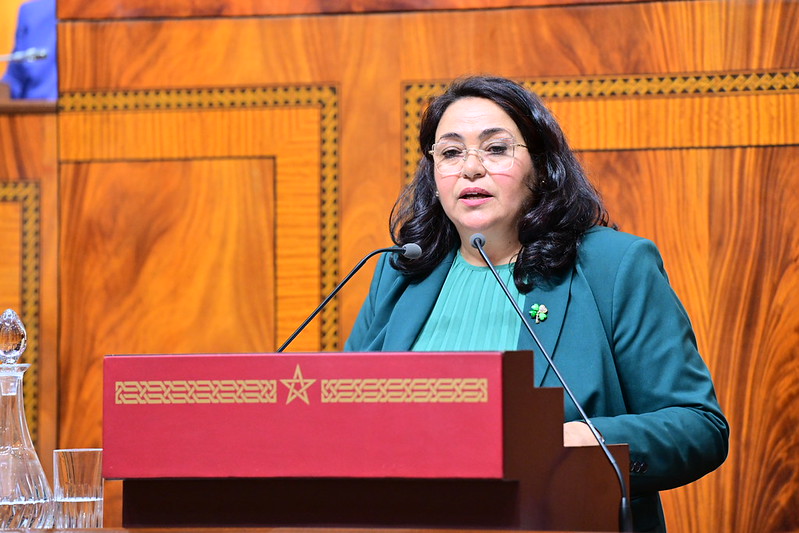 البردعي لرئيس الحكومة: مشغولون بجيوبكم وبثرواتكم ومشاكل المغاربة آخر همكم