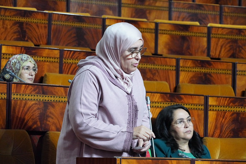 القنصوري تنتقد هدر المال العام بسبب حسابات سياسوية وانتخابية