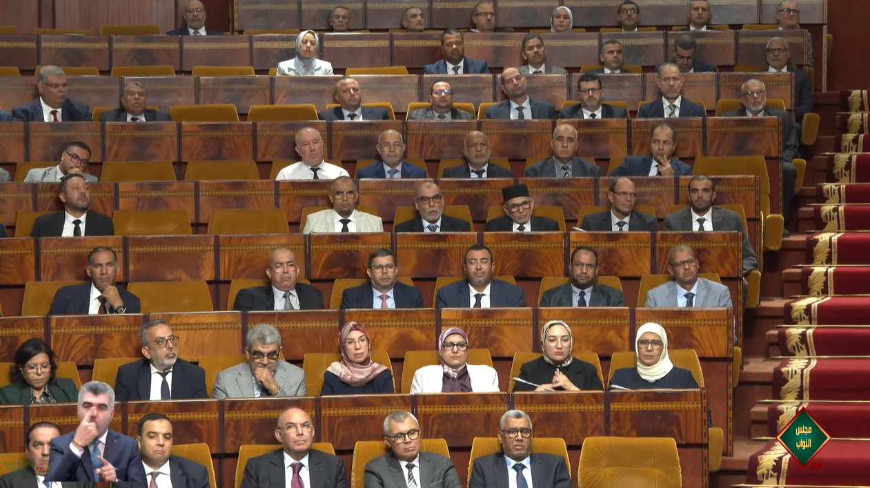 الأزمي الإدريسي: معارضة الفريق ستكون صوت الشعب وفي صفه وحراس هويته وثوابته وأسرته ومصالحه المشروعة